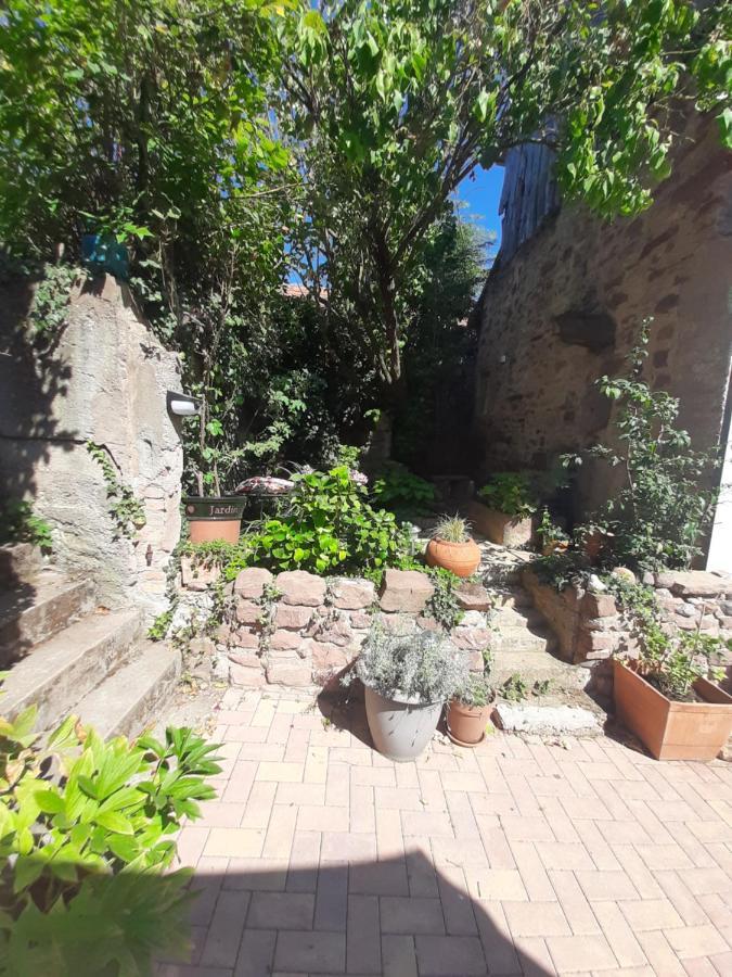 Studio Tout Confort 2 Personnes Au Coeur De L'Alsace Wolxheim المظهر الخارجي الصورة