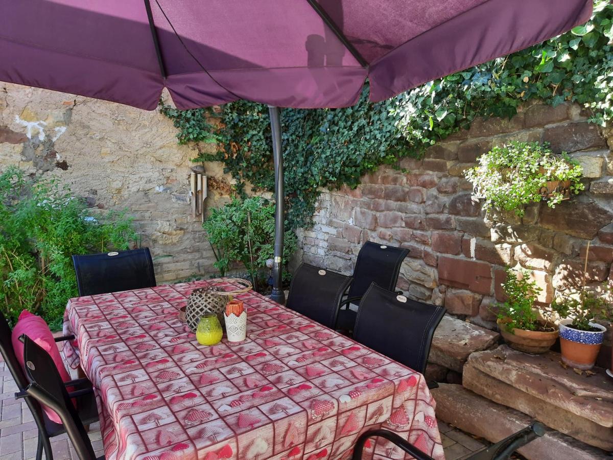 Studio Tout Confort 2 Personnes Au Coeur De L'Alsace Wolxheim المظهر الخارجي الصورة