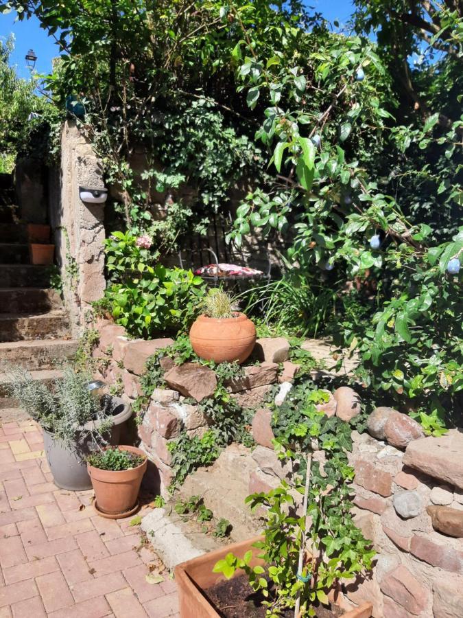 Studio Tout Confort 2 Personnes Au Coeur De L'Alsace Wolxheim المظهر الخارجي الصورة
