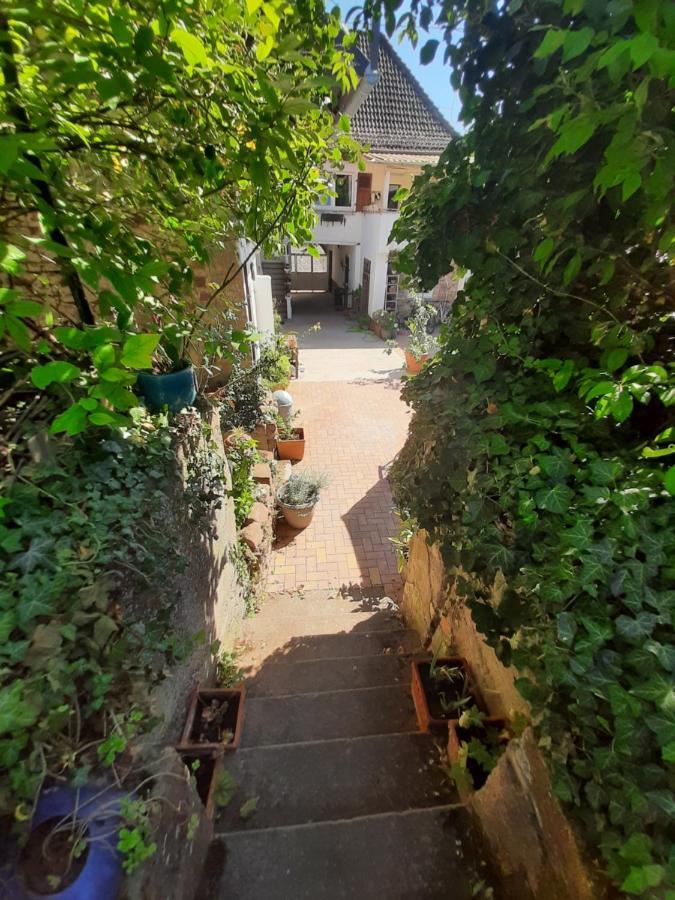 Studio Tout Confort 2 Personnes Au Coeur De L'Alsace Wolxheim المظهر الخارجي الصورة