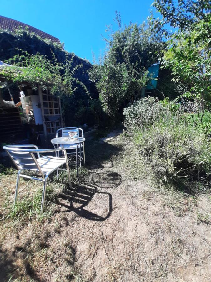 Studio Tout Confort 2 Personnes Au Coeur De L'Alsace Wolxheim المظهر الخارجي الصورة