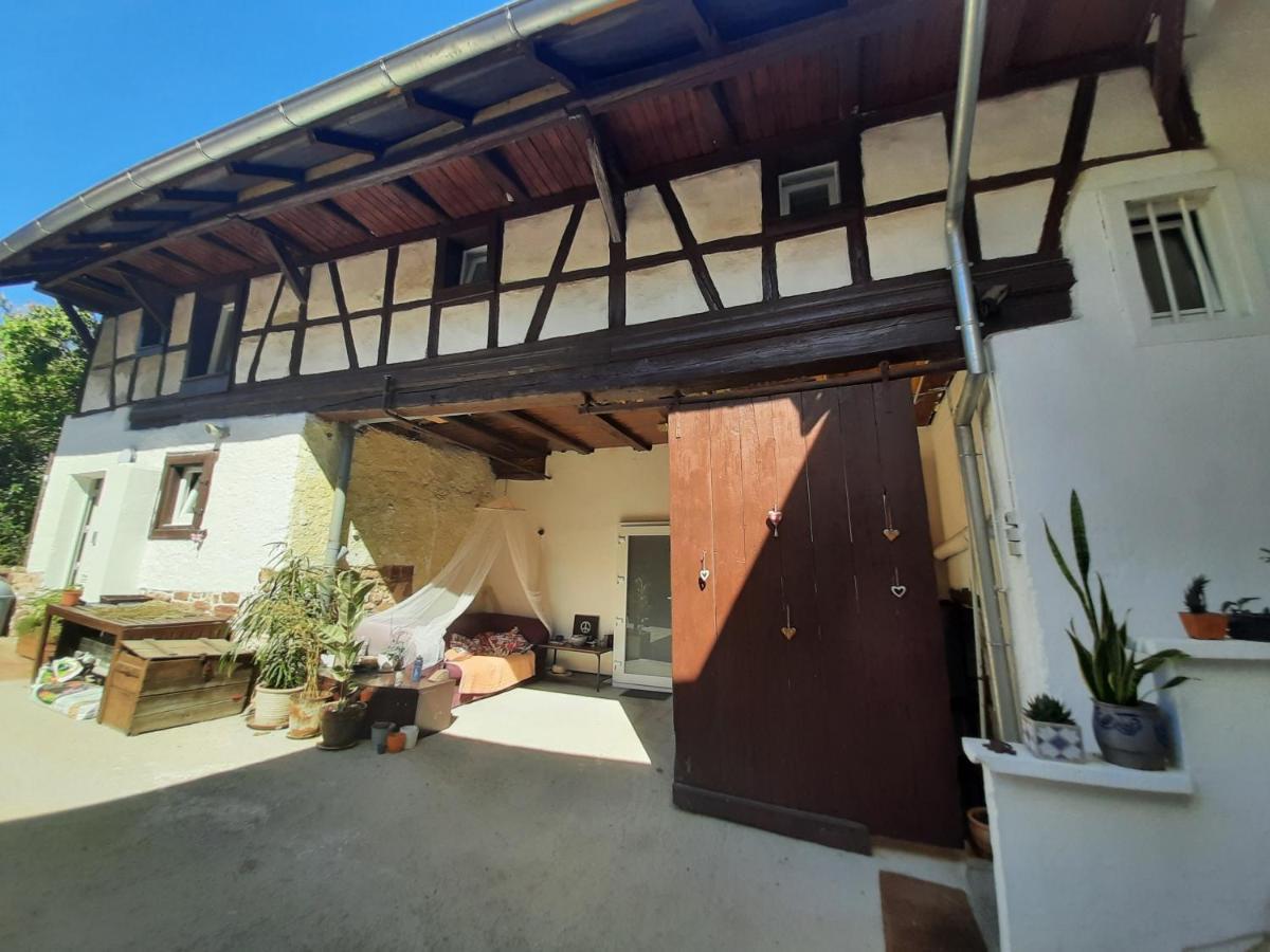 Studio Tout Confort 2 Personnes Au Coeur De L'Alsace Wolxheim المظهر الخارجي الصورة