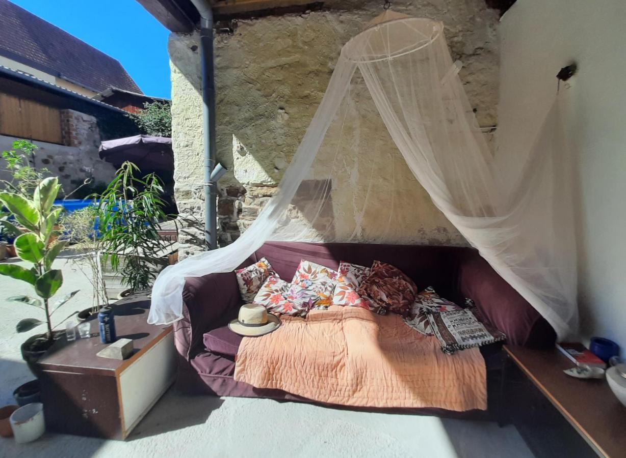 Studio Tout Confort 2 Personnes Au Coeur De L'Alsace Wolxheim المظهر الخارجي الصورة