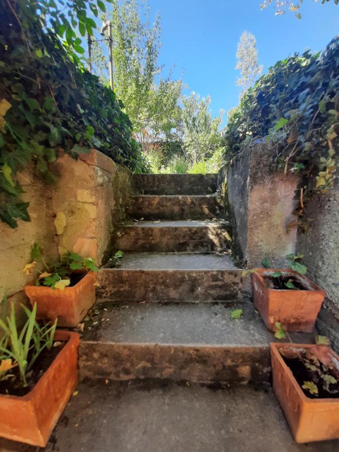 Studio Tout Confort 2 Personnes Au Coeur De L'Alsace Wolxheim المظهر الخارجي الصورة