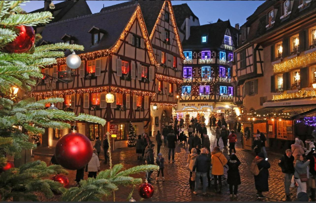 Studio Tout Confort 2 Personnes Au Coeur De L'Alsace Wolxheim المظهر الخارجي الصورة