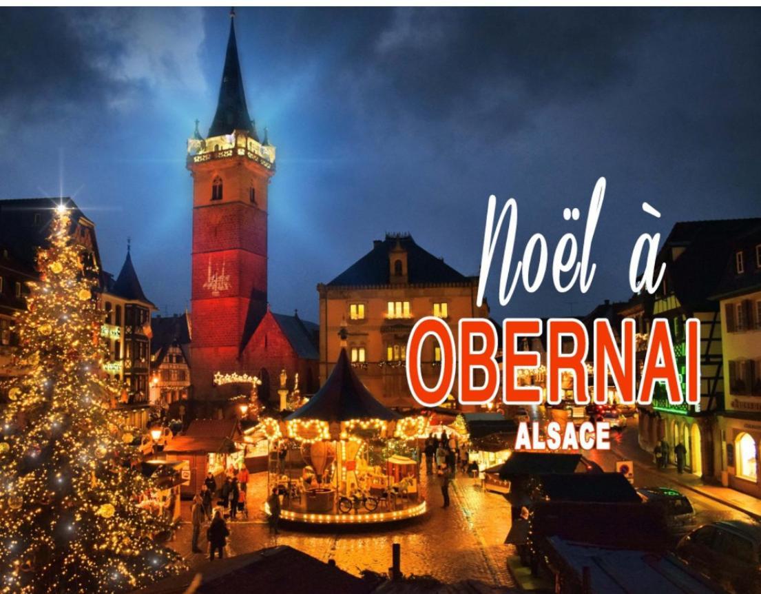 Studio Tout Confort 2 Personnes Au Coeur De L'Alsace Wolxheim المظهر الخارجي الصورة