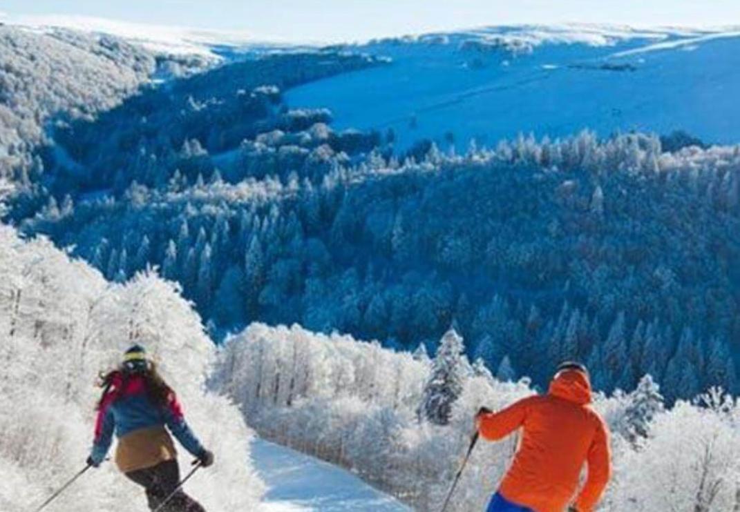 Studio Tout Confort 2 Personnes Au Coeur De L'Alsace Wolxheim المظهر الخارجي الصورة