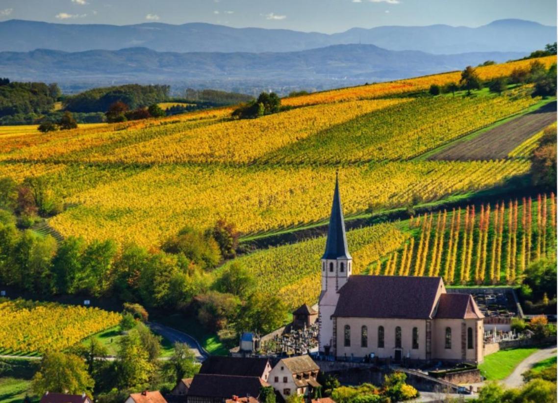 Studio Tout Confort 2 Personnes Au Coeur De L'Alsace Wolxheim المظهر الخارجي الصورة