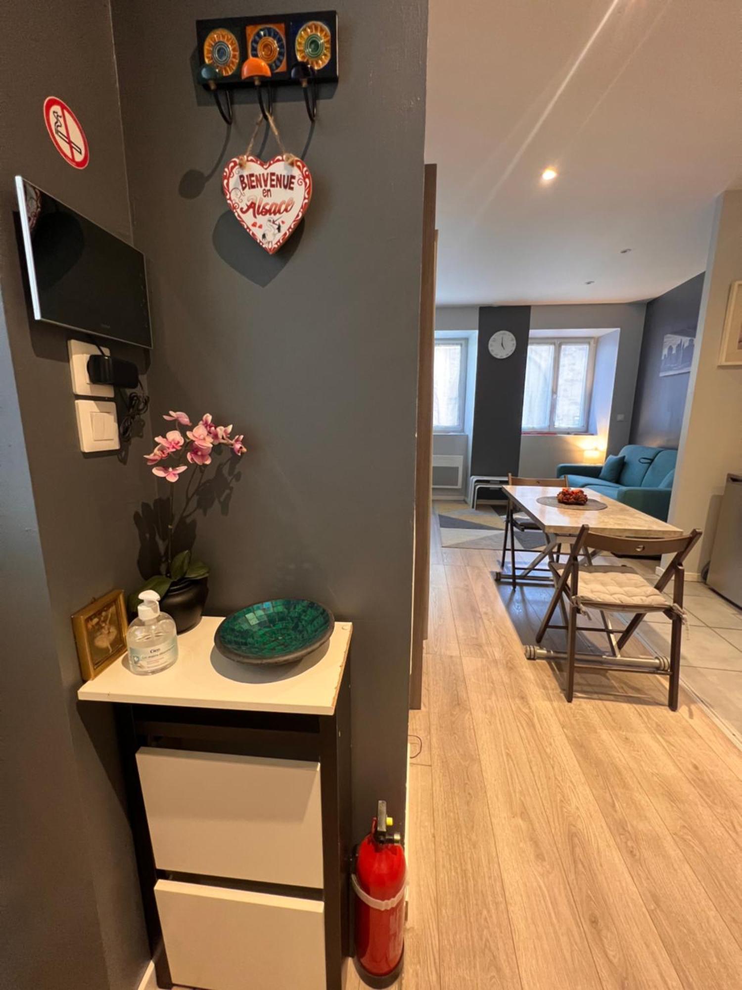 Studio Tout Confort 2 Personnes Au Coeur De L'Alsace Wolxheim المظهر الخارجي الصورة