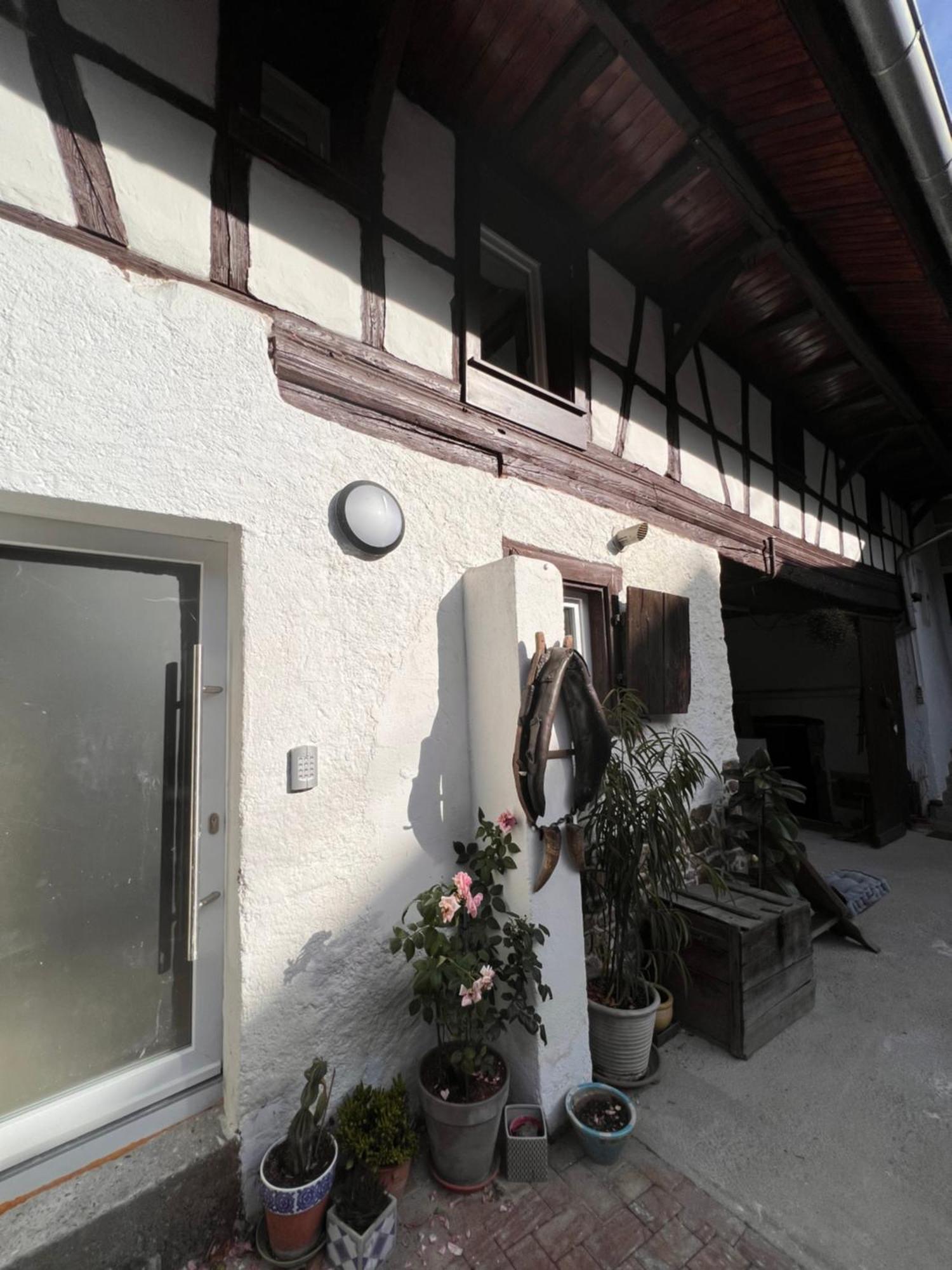 Studio Tout Confort 2 Personnes Au Coeur De L'Alsace Wolxheim المظهر الخارجي الصورة